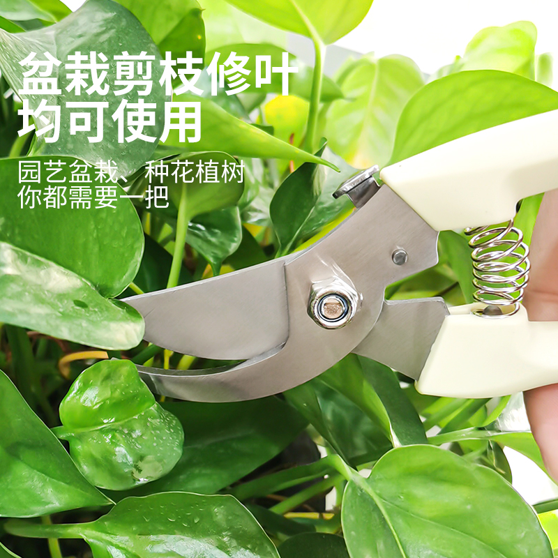 园林园艺修枝剪刀树枝粗枝摘果剪果树家用多功能修花艺剪工具专用