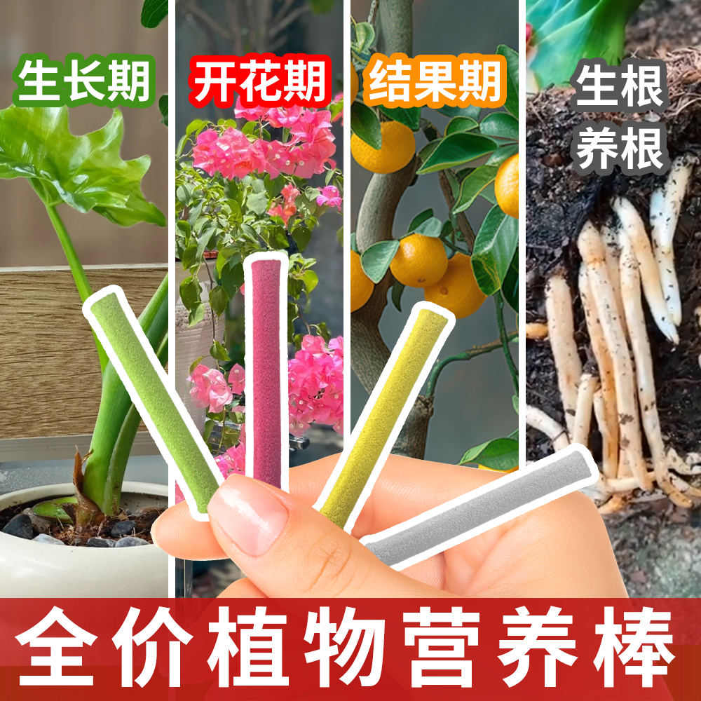 均衡缓释营养棒控释肥家庭园艺通用肥多肉盆栽绿植花卉发财树肥料