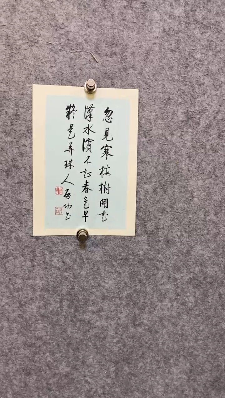 【闪购商品】书法qg