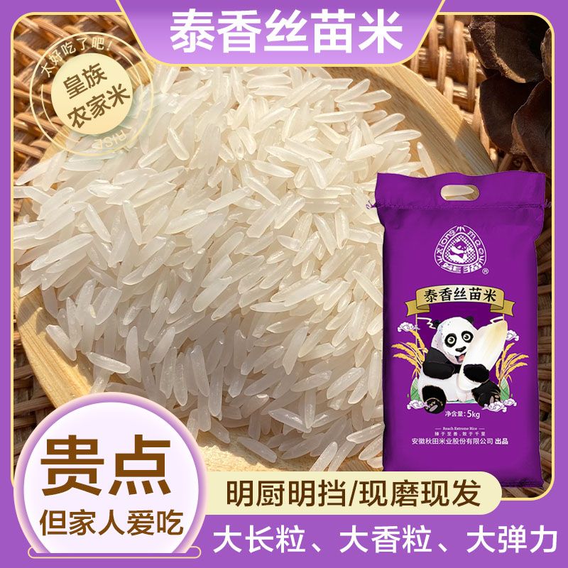 泰国香米饭绿色大米长粒香米10斤装猫牙长粒香米粥大米饭2025新米