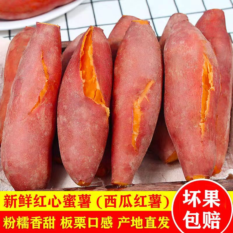 【现货现发】广东高州沙地西瓜红蜜薯软糯香甜地瓜新鲜红薯现挖