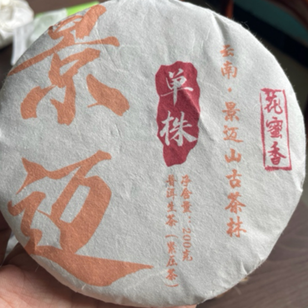 2020年景迈大平掌茶花亭单株级古树挑采