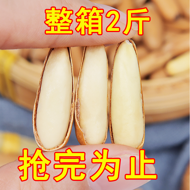 2斤大降价】新货巴西松子大颗粒手剥阿富汗松罐装孕妇零食坚果10g