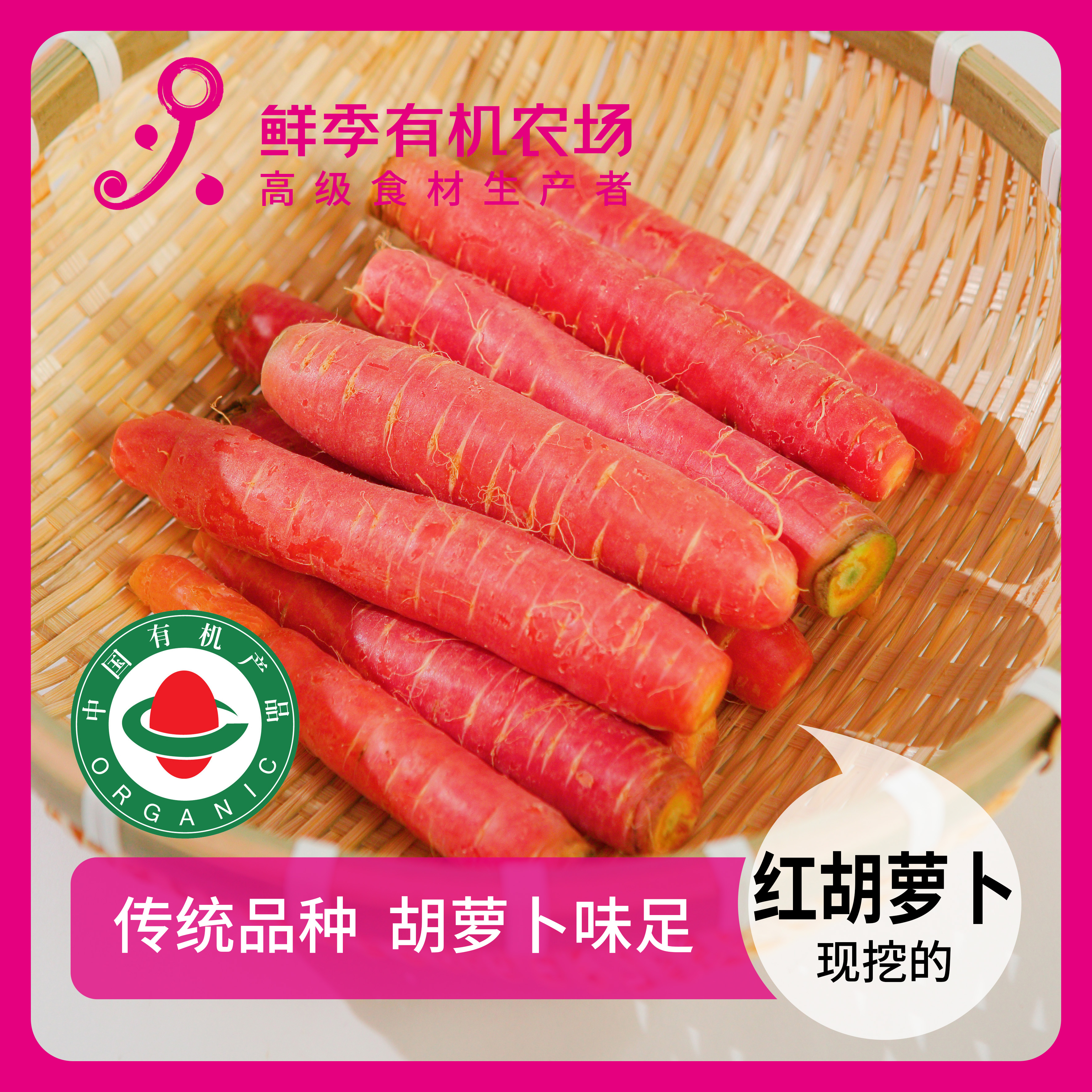 鲜季全自产 有机红胡萝卜500克 当日采摘/无防腐药剂