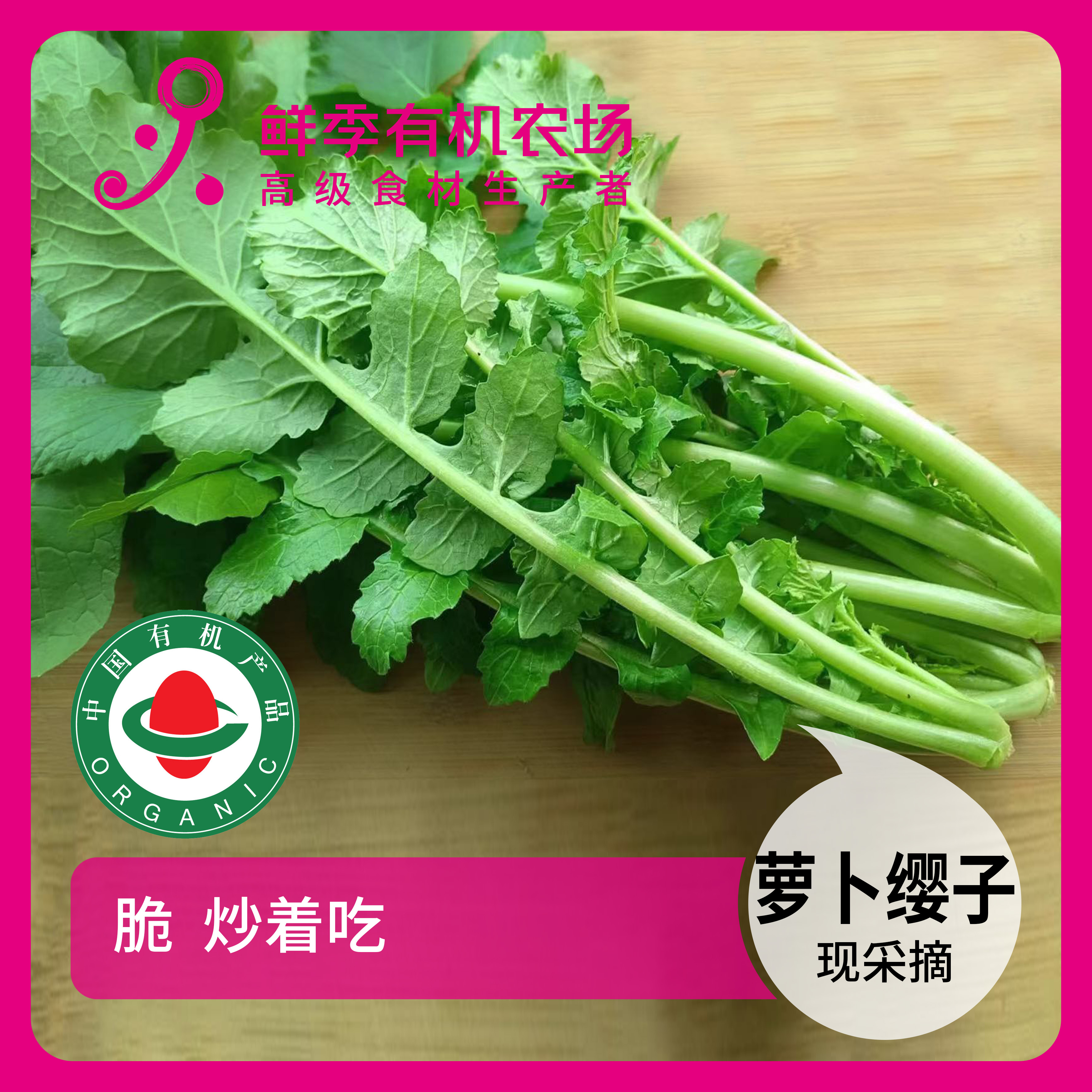 全自产 有机萝卜缨子300克 有机认证 现采摘 顺丰空运