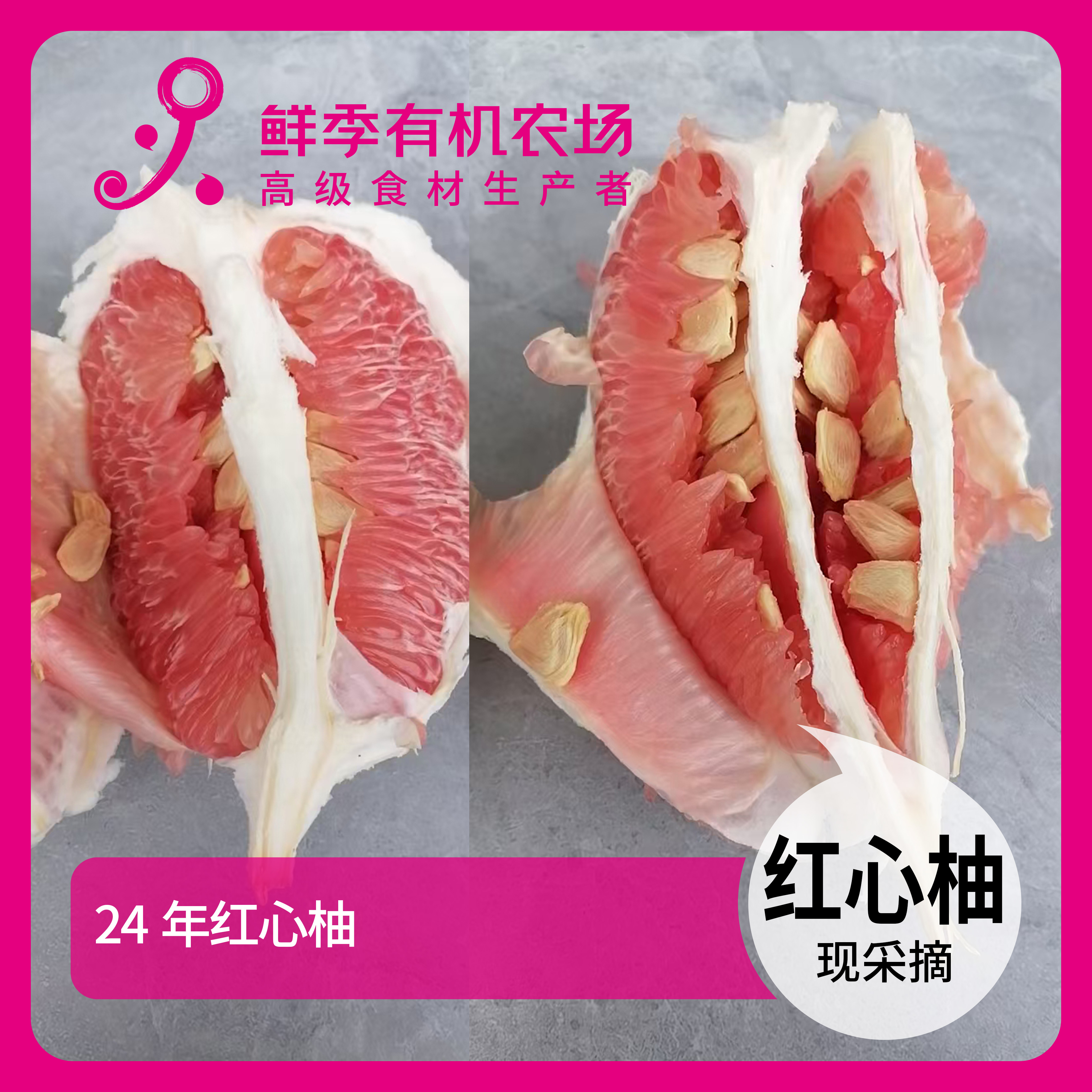 全自产 红心柚子 2500克 无保鲜剂/当日采摘/顺丰陆运