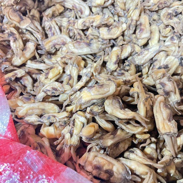 【爬爬姐臻选】哆头蛏干新鲜海产干货250克起