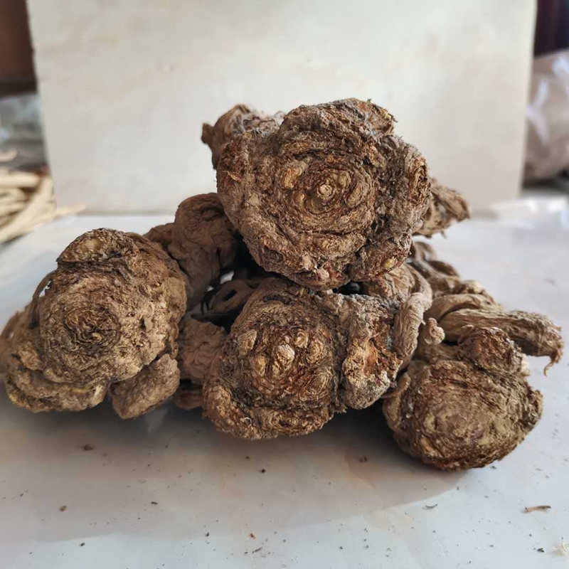 岷县农户种植大当归250克-500g包邮