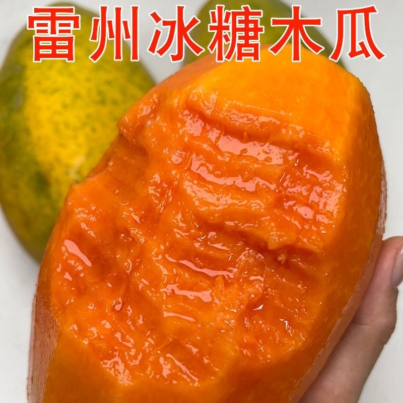 雷州冰糖红心木瓜树上熟新鲜四季水果现摘红心木瓜果园香甜鲜嫩1