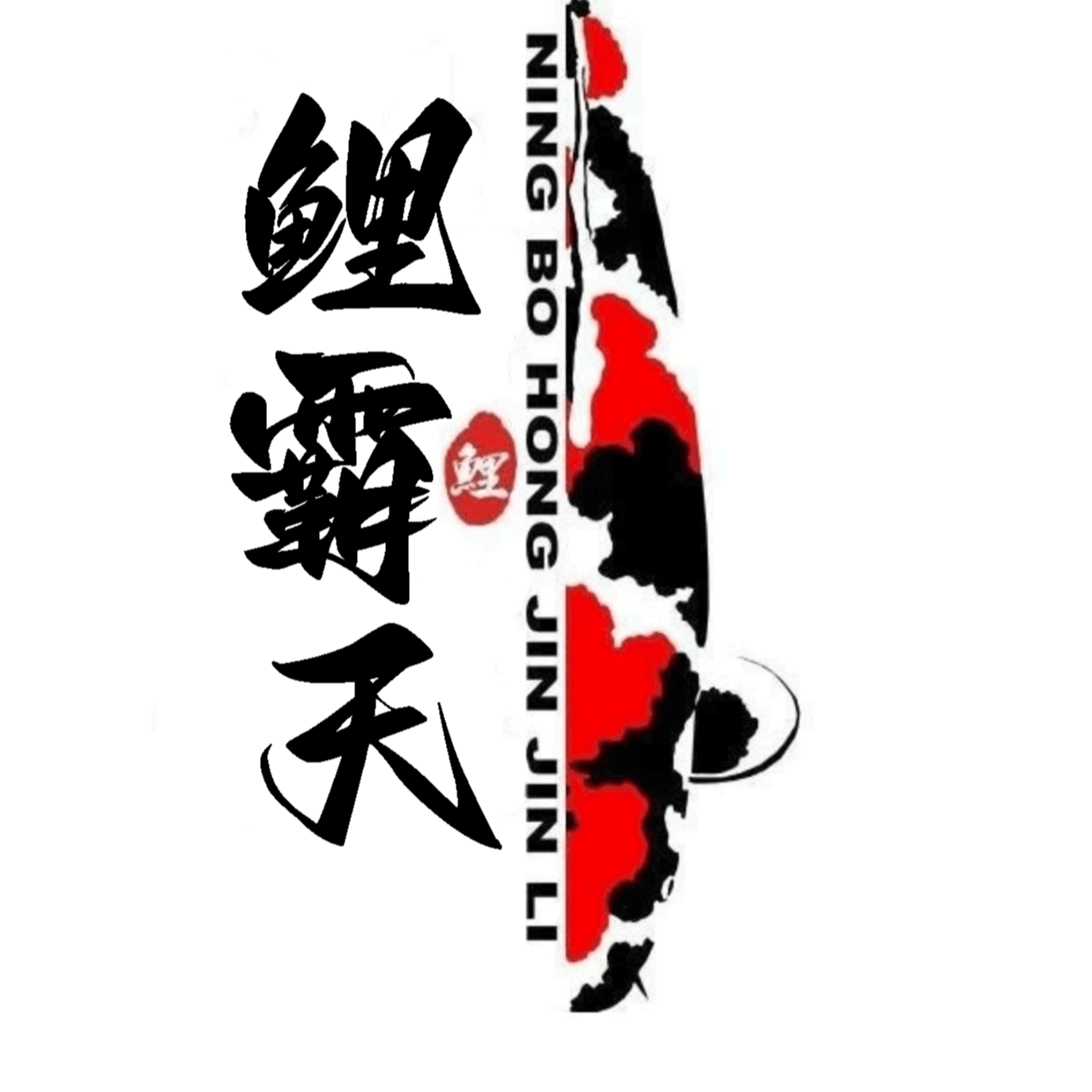 锦鲤锦鲤鱼锦鲤观赏鱼御三家鱼观赏鱼铅笔大四家选鱼链接多曼雷龙