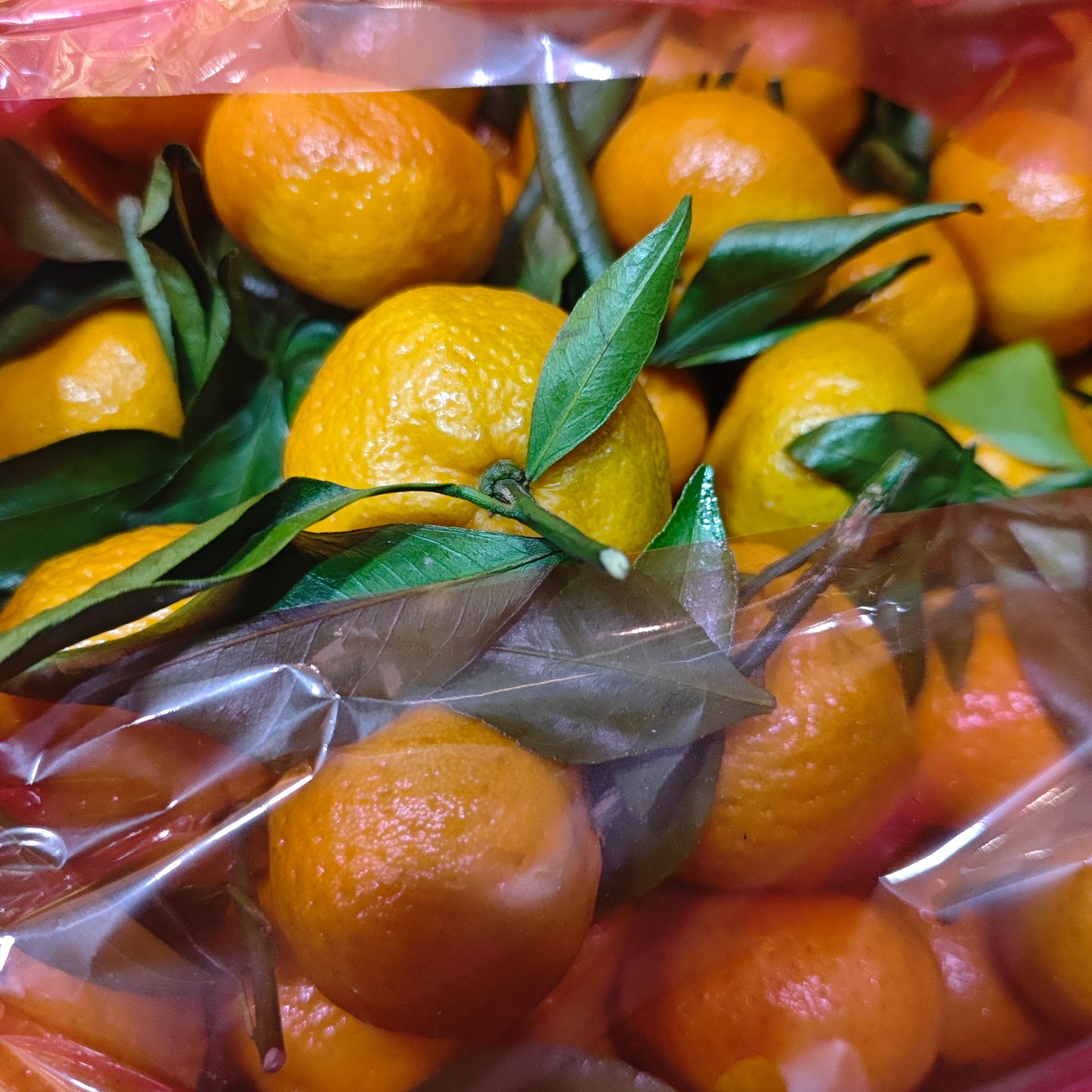 沙糖桔一框  带框 5斤左右