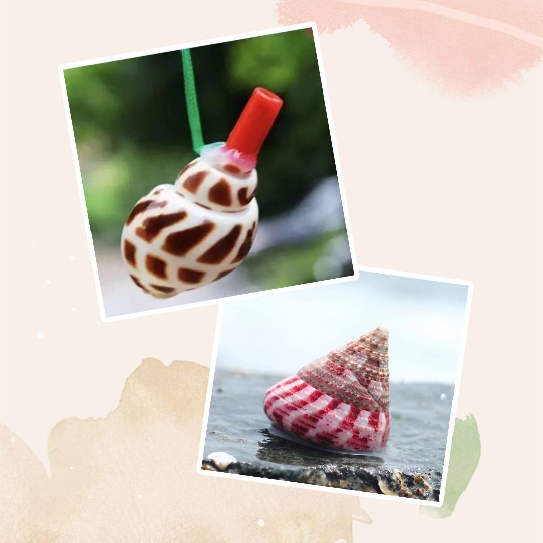 海螺赠品2件套