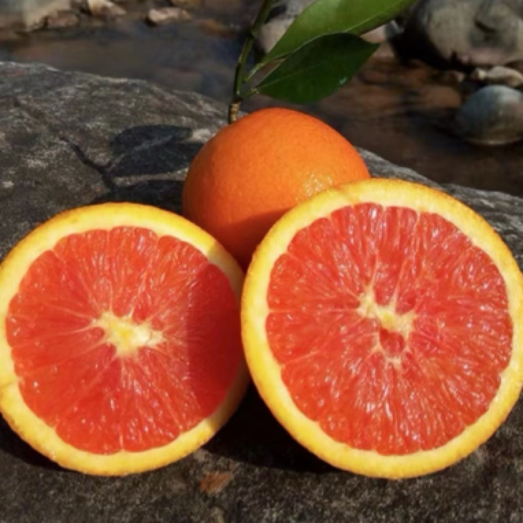 赣南血橙脐橙红橙橙子5斤/10斤/20姐姐弟弟斤凉山悬崖村vs双胞胎