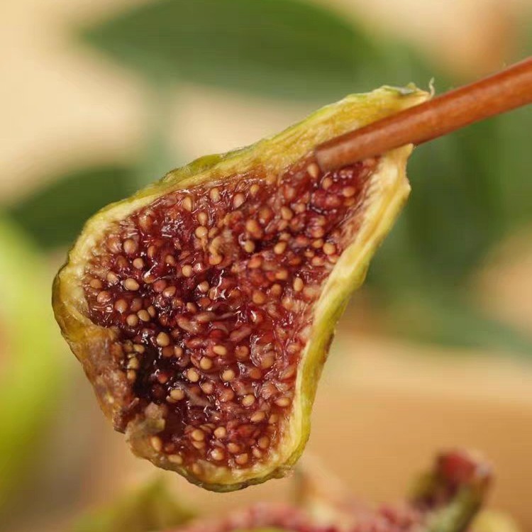 无花果鲜果果干原汁原味(接近新鲜无花果味道的果干)一斤清香香甜