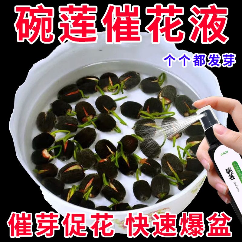 碗莲营养液专用水溶肥水培土培睡莲通用肥料治生长慢不发芽不开花