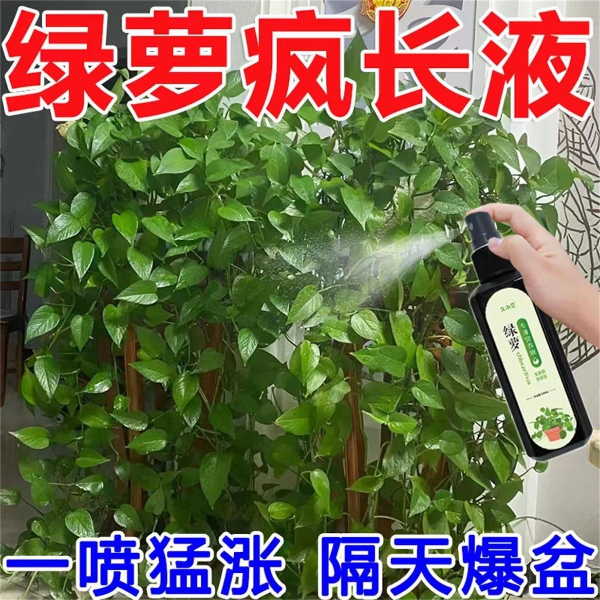 【一喷猛长】绿萝专用营养液黄叶落叶枯萎一喷绿生根促长液体肥