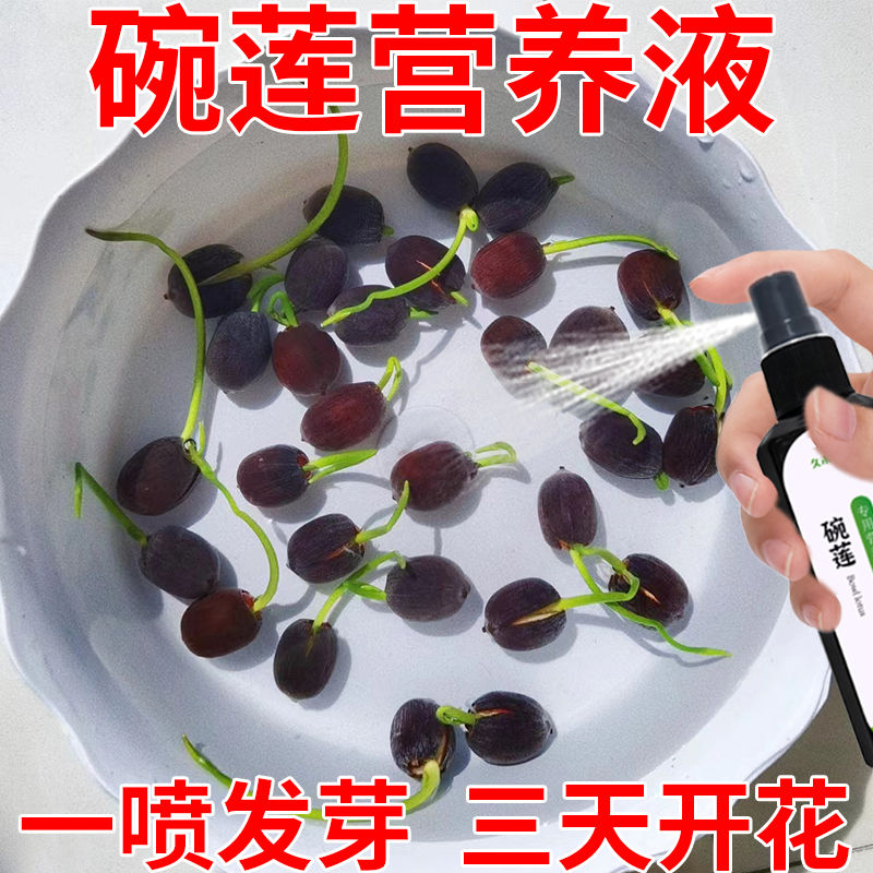 碗莲营养液专用助生长促发芽激活僵苗催开花治黄叶黑斑焦边肥料
