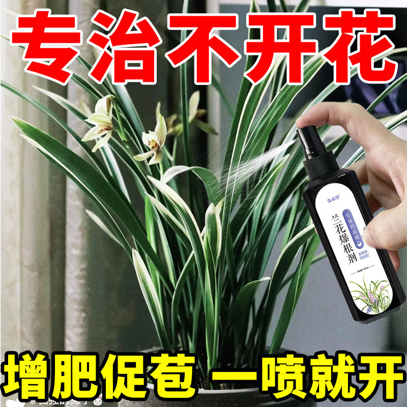 【一喷花开】兰花营养液防黄叶不开花促苞催开花免稀释专用肥料