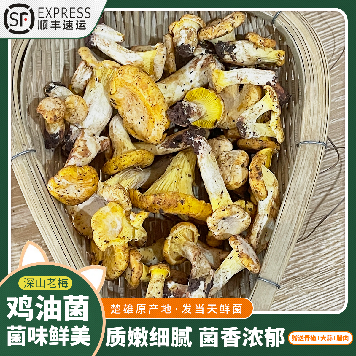 云南楚雄禄丰新鲜鸡油菌菌子香浓郁500g 顺丰空运包邮