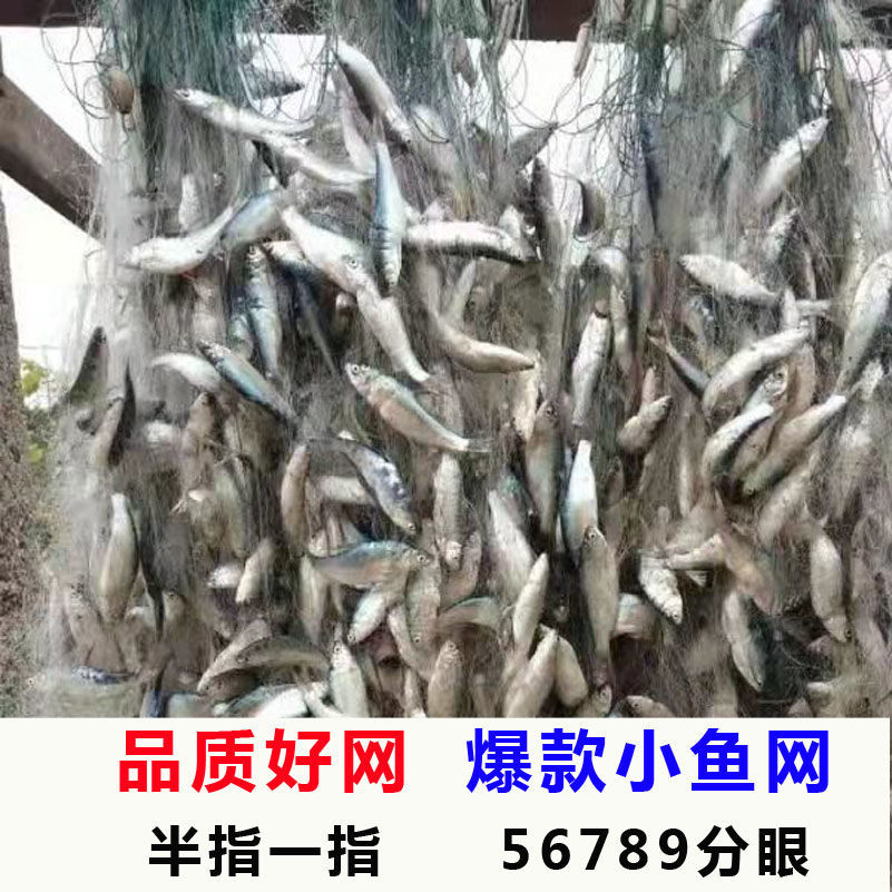 单层浮网三层沉网加重5678分眼半指一指粘网丝网白条网柔软小鱼网