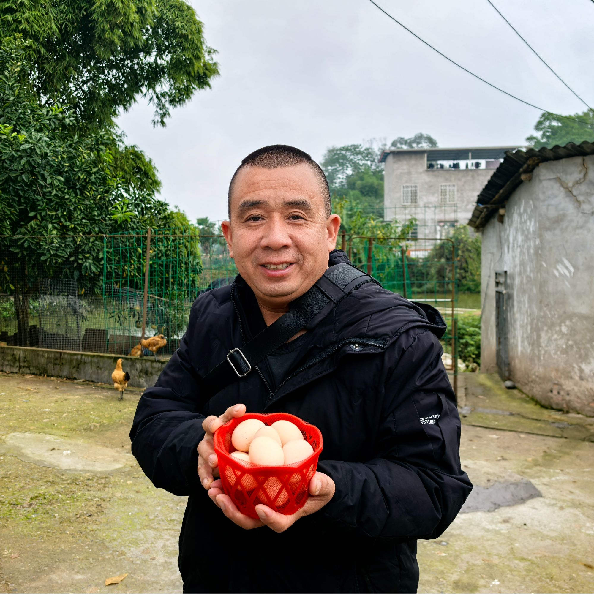 【胡支书推荐】土鸡蛋  农户散养土鸡蛋