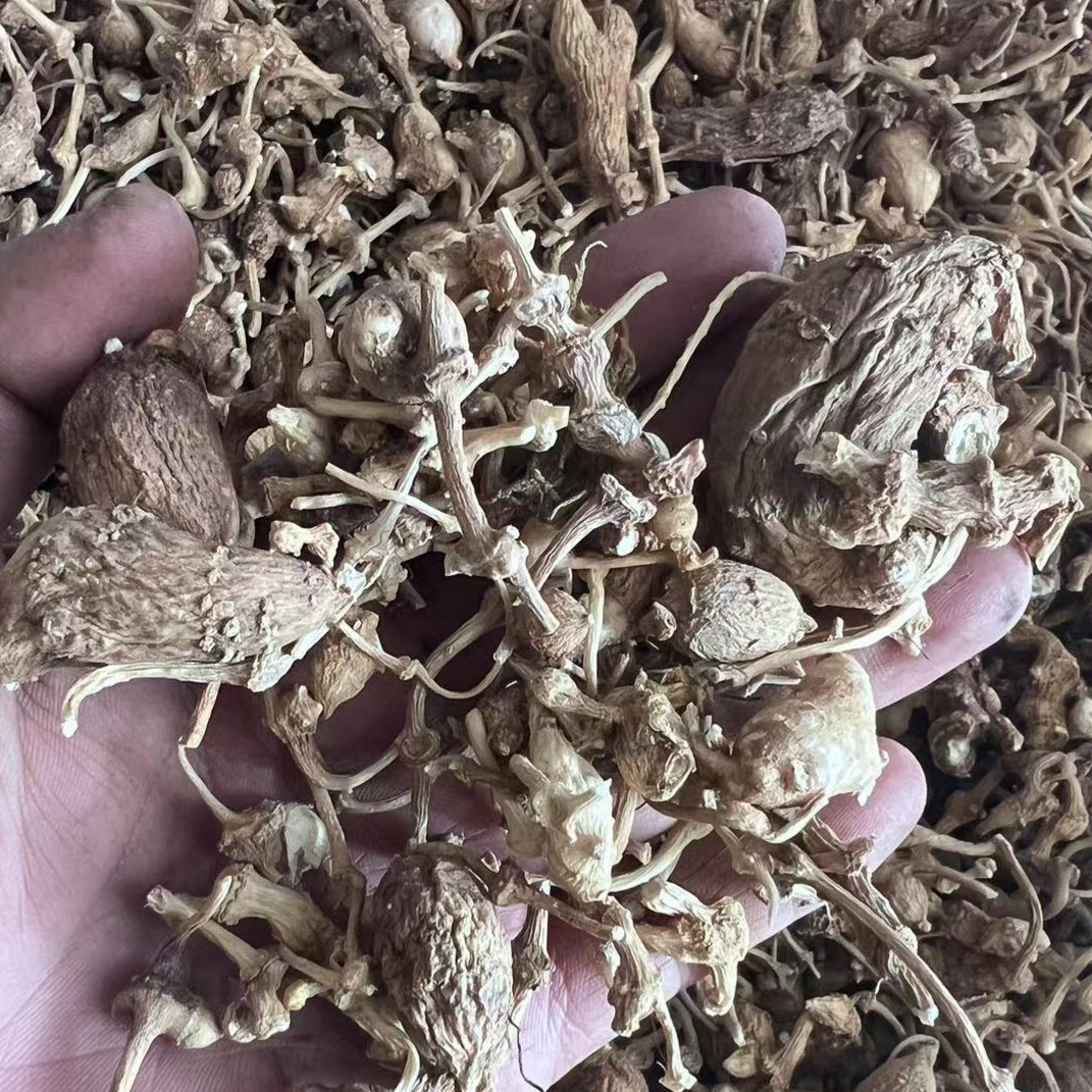 西藏雪域高海拔藏三七100g自然晾晒不发黑泡水煮汤