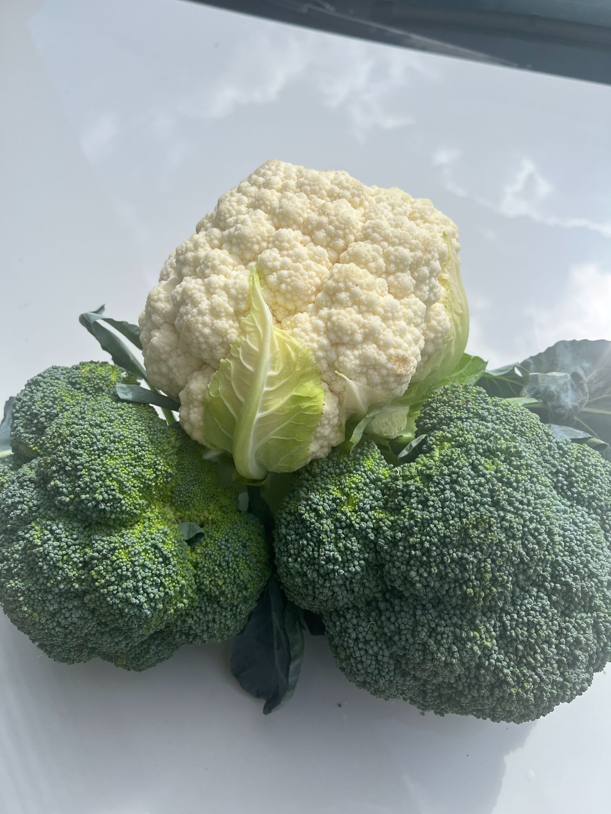 云南新鲜蔬菜中通顺丰西兰花白花混装农家自种新鲜5斤包邮