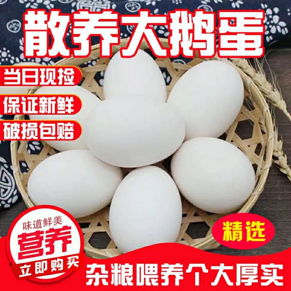 【鹅嫂专属】农家散养新鲜土鹅蛋老少皆宜营养现捡现发老人小孩孕妇