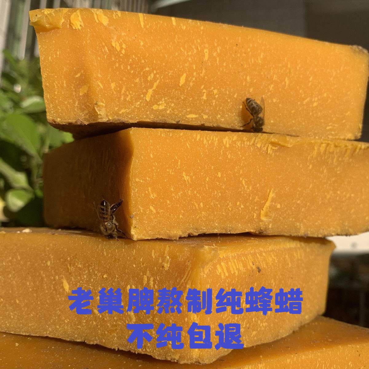 诱蜂蜡老巢脾蜡户外诱蜂专用蜂蜡不纯包退