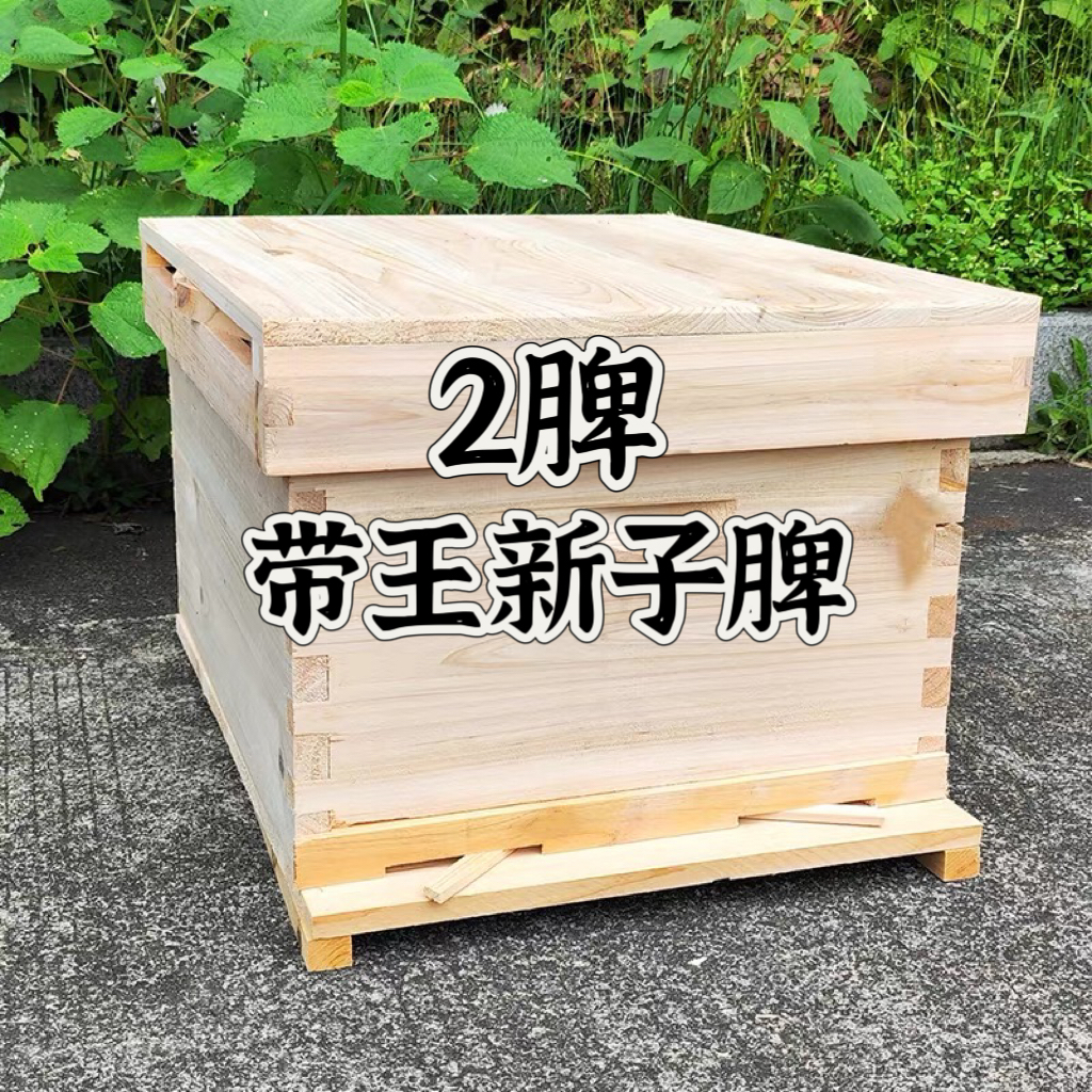 中蜂带箱有子脾糖脾新王蜂箱四季繁殖优质蜂箱标准尺寸箱子