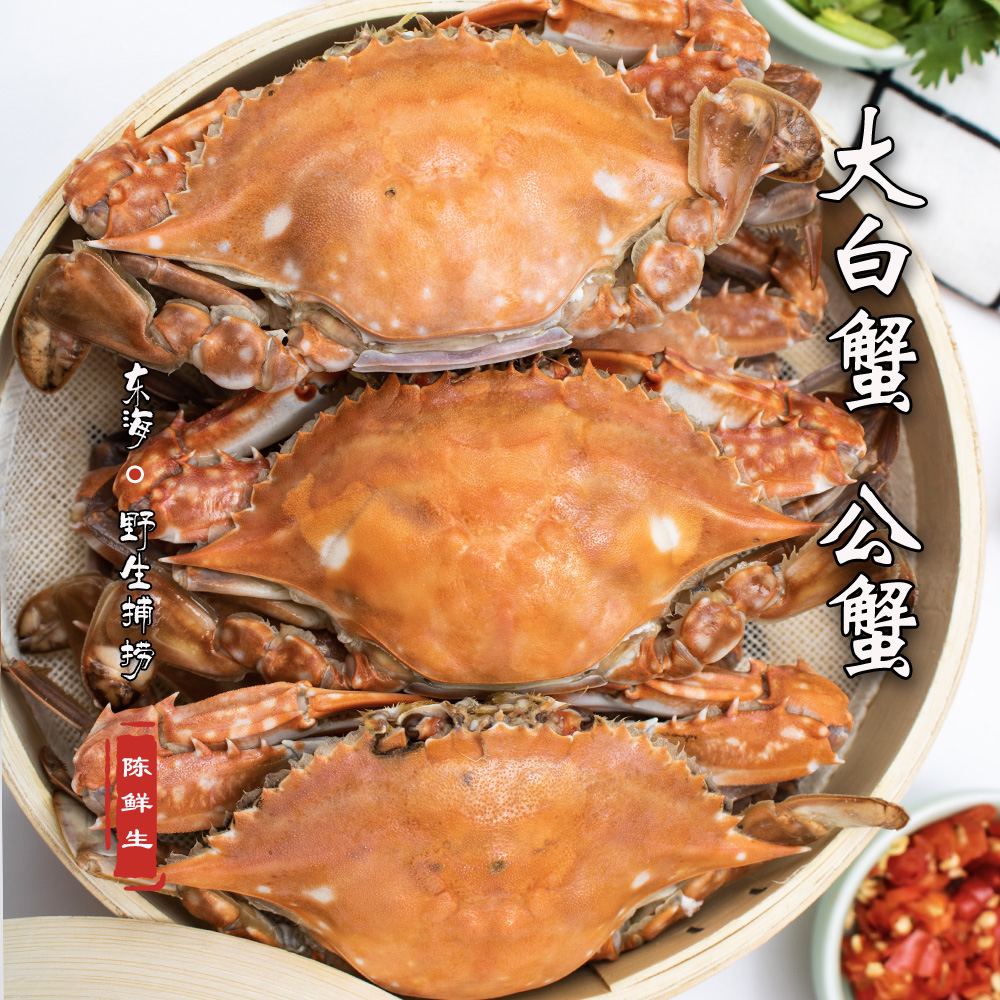 【5-9两/只】【充氧发货】大白蟹 3斤  舟山梭子蟹  【保鲜不保活】 