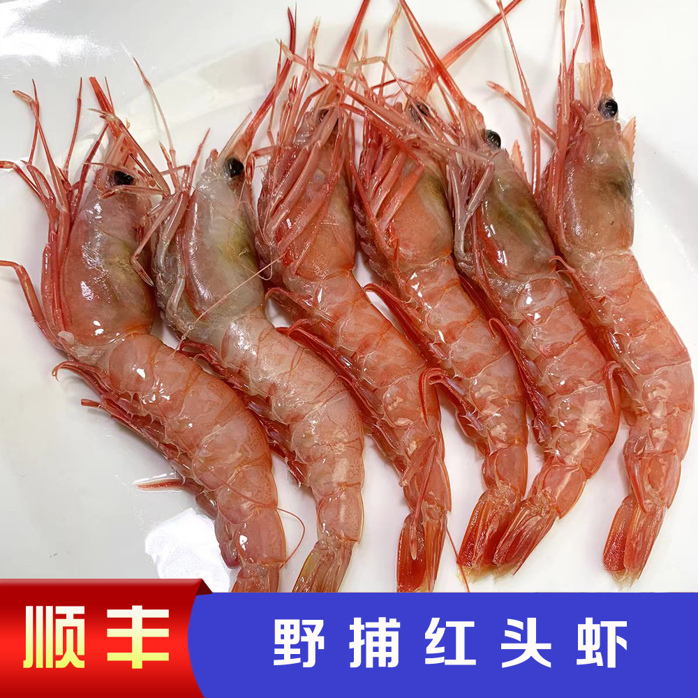 【东海大红虾】宁波舟山东海 小船红头虾   3斤 6盒 顺丰