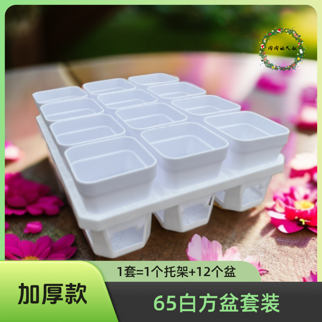 加厚磨砂款浅方盆套装小号多肉锥白方盆露养耐晒抗冻绿植育苗盆