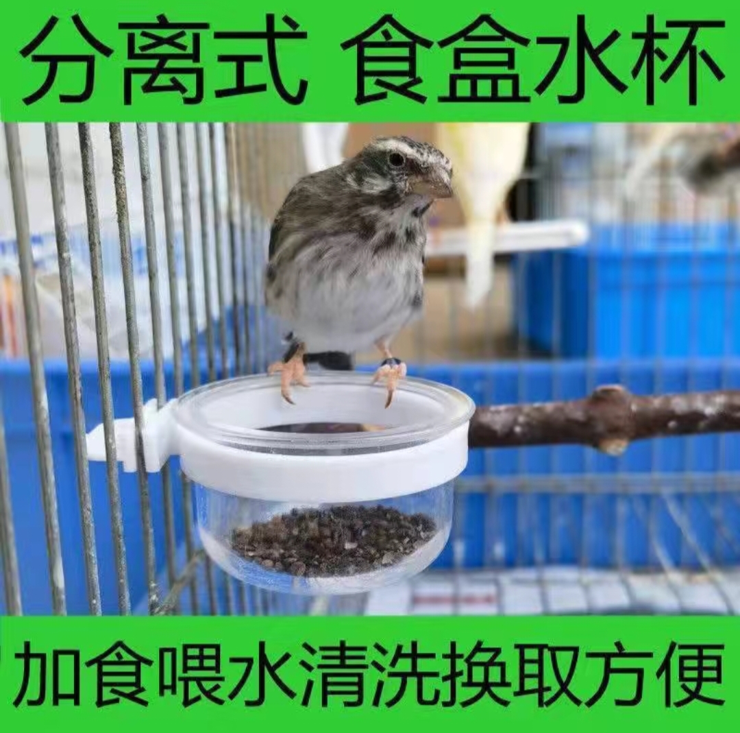 【店庆活动】独立包装小鸟分体杯（拍1单发5个）包邮