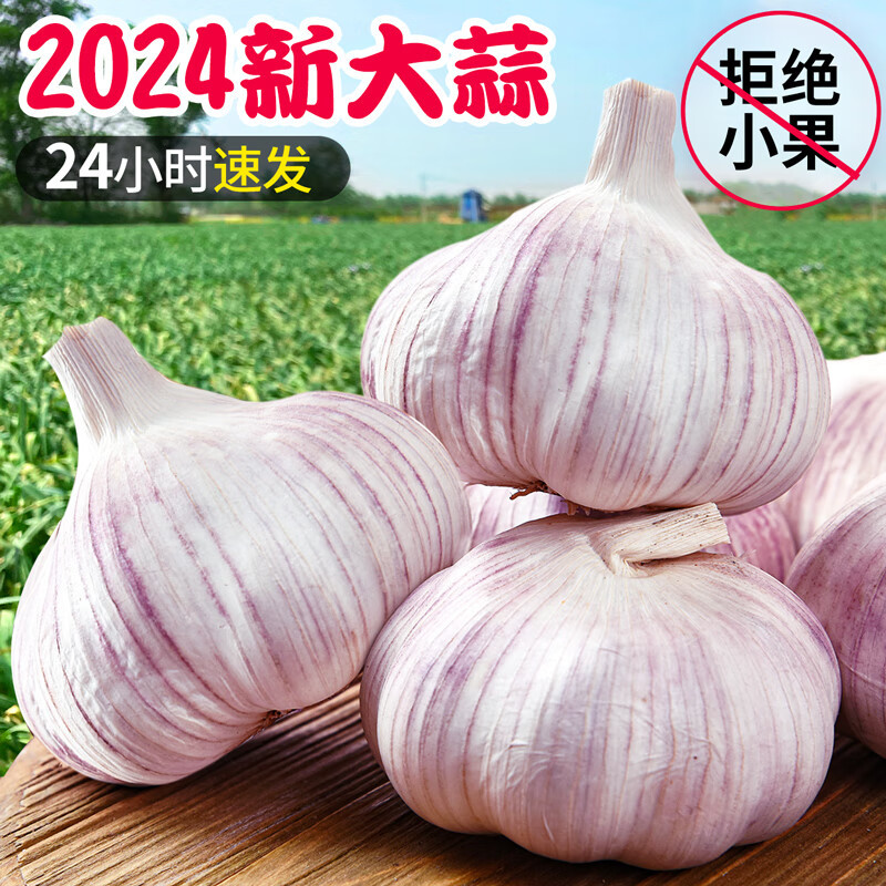 【实力宠粉】金乡正宗紫皮大蒜精选大蒜干蒜蒜头大蒜头新鲜批发包