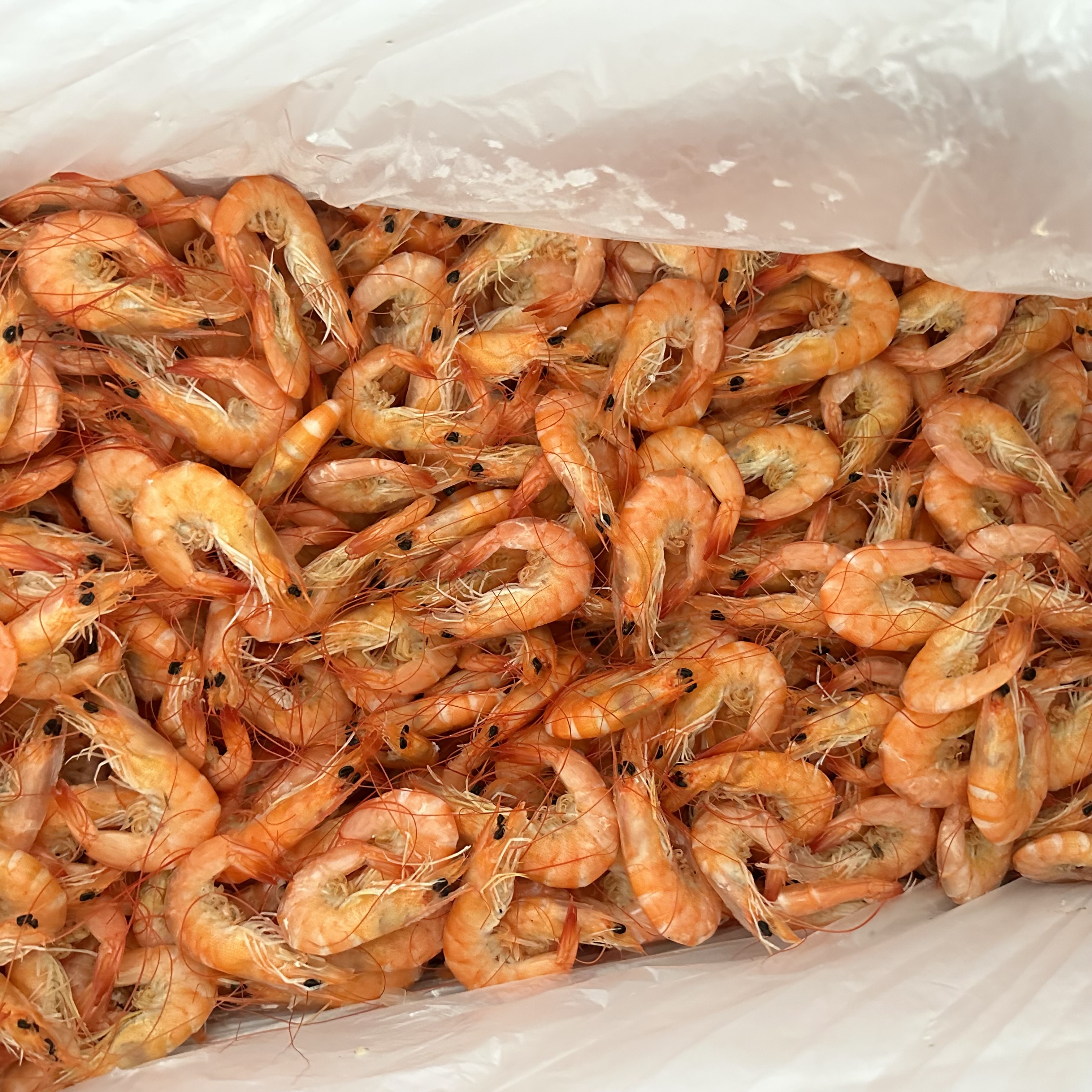 二界沟两河水锅烙虾2斤半（小小虾）