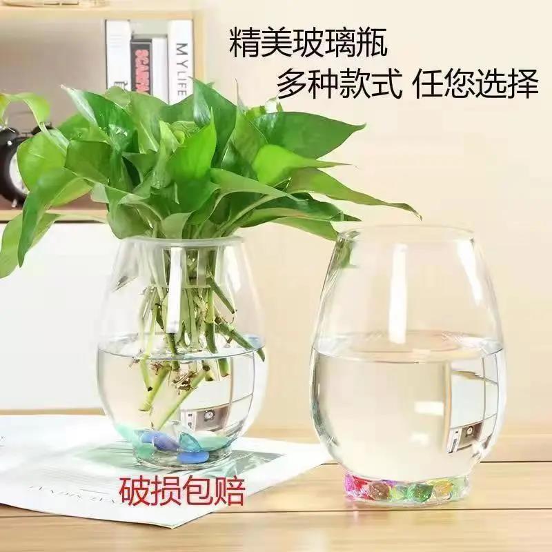 新疆包邮水培植物玻璃瓶绿萝花瓶花盆办公室创意水