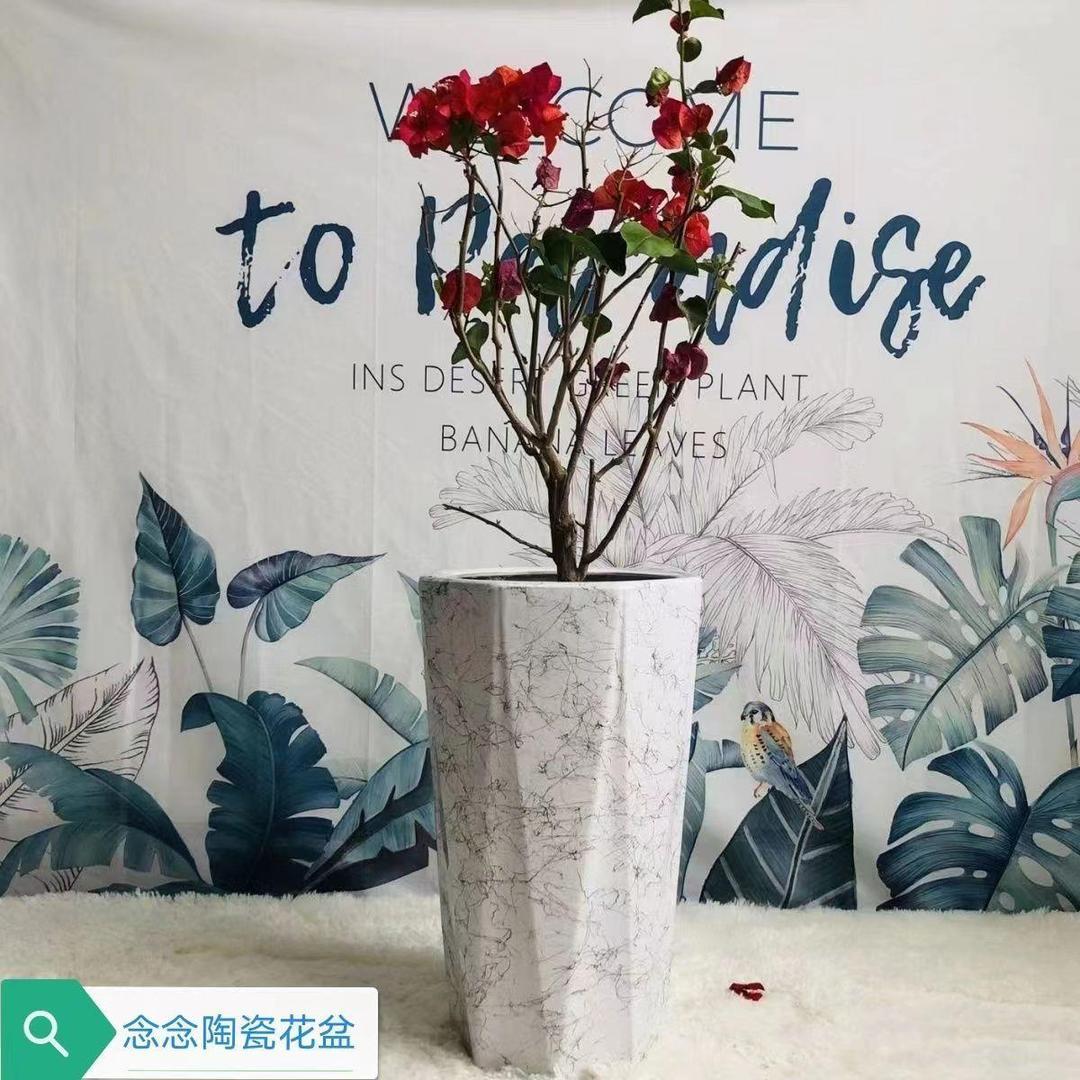 新疆包邮陶瓷花盆大气简洁网红爆款高档落地客厅用