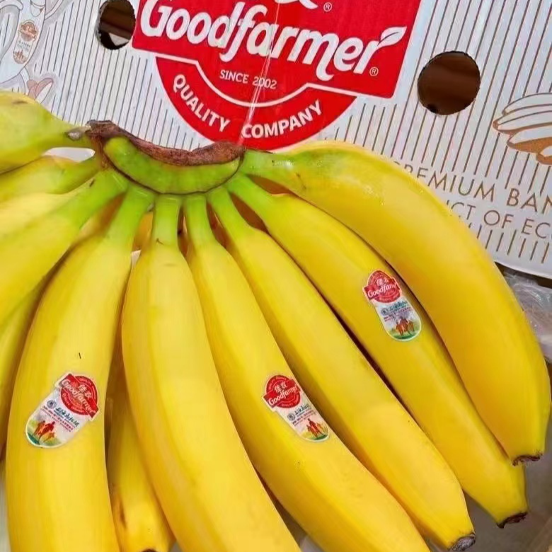 佳农南美蕉 约600g 香甜软糯
