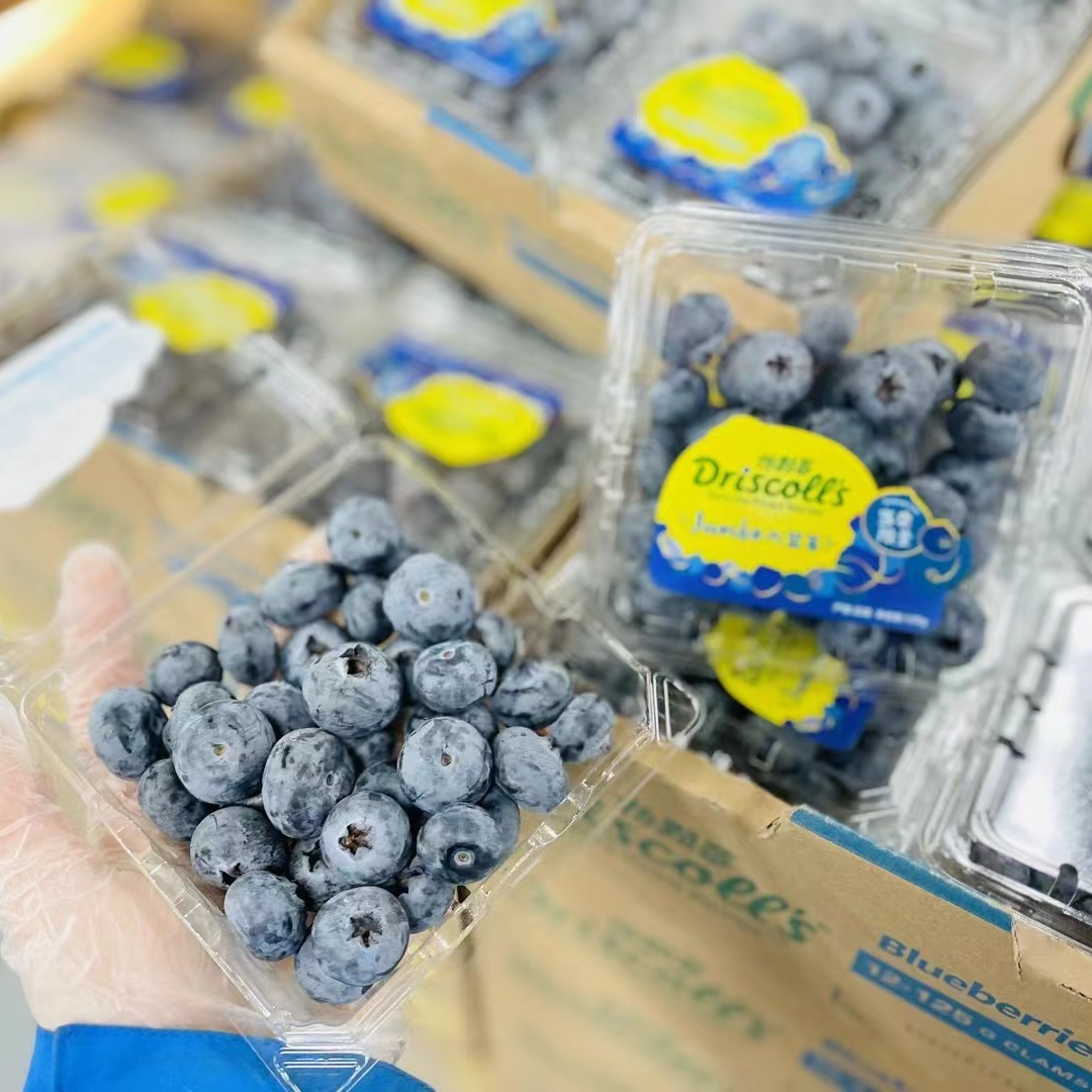 怡颗莓蓝莓限量版一盒装 脆甜