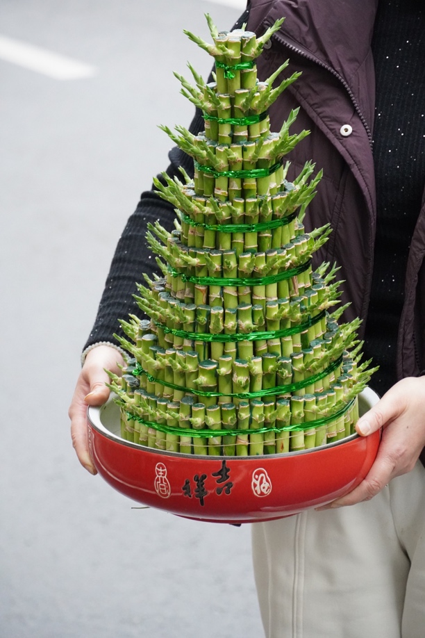 步步高发财竹送领带、送开业的朋友