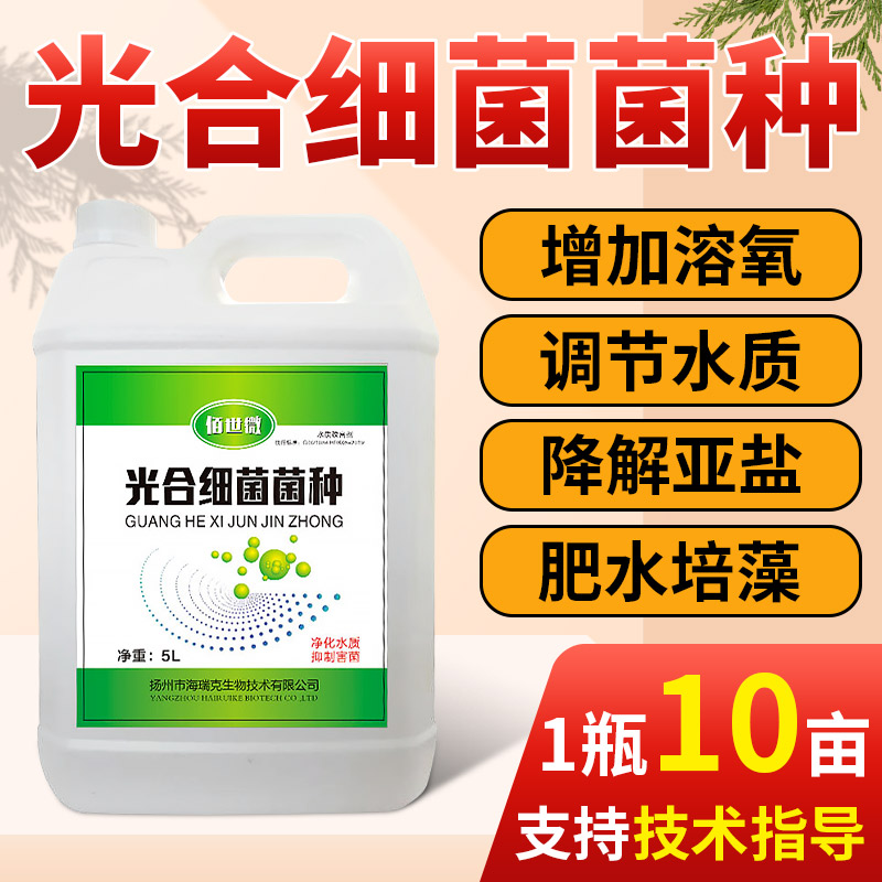 海瑞克光合细菌菌种鱼虾蟹养殖用可肥水可扩培培藻种子快肥水色