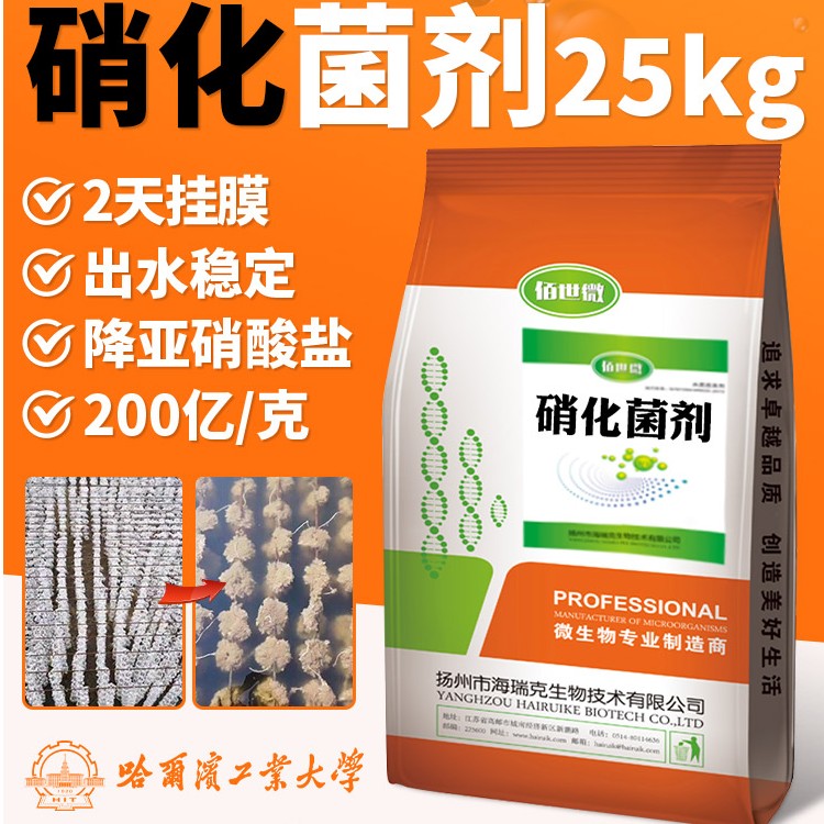 海瑞克复合活性硝化菌剂污水处理降氨氮一体净化设备投加快速挂膜