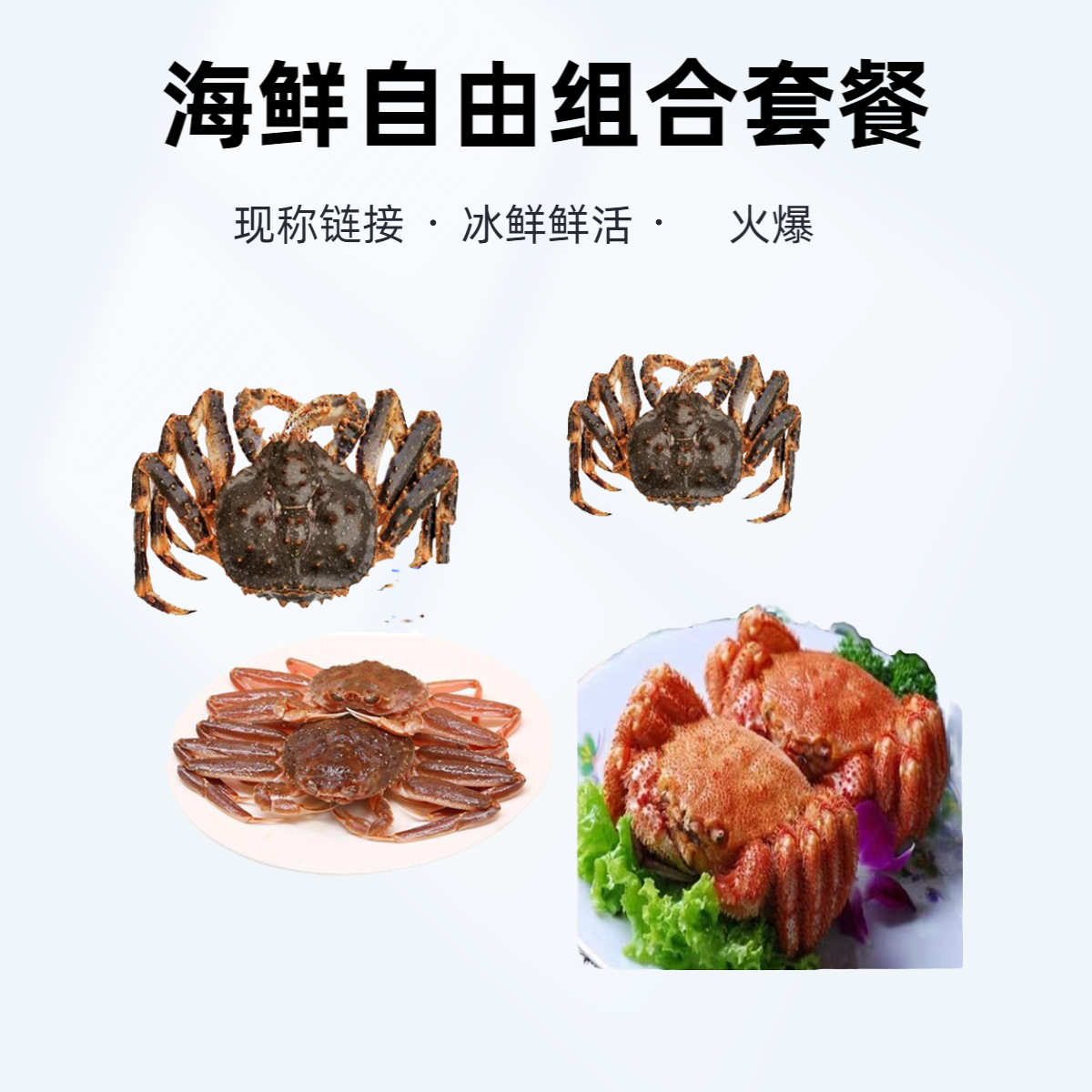 海鲜组合套餐/现称链接/净含量1.5-3KG（顺丰保鲜不保活）冰鲜/鲜活