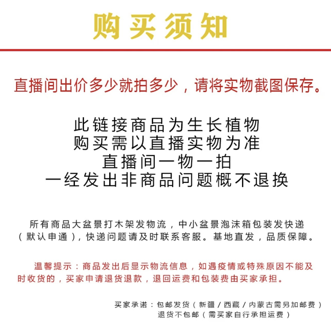 老桩山采赤楠 紫薇