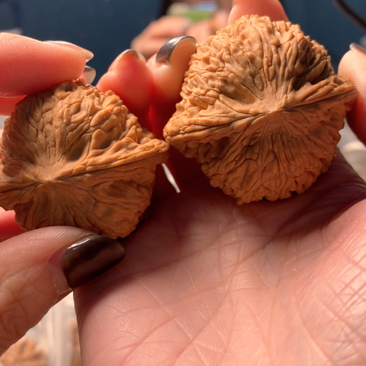 【闪购商品】文玩核桃吊坠现**会