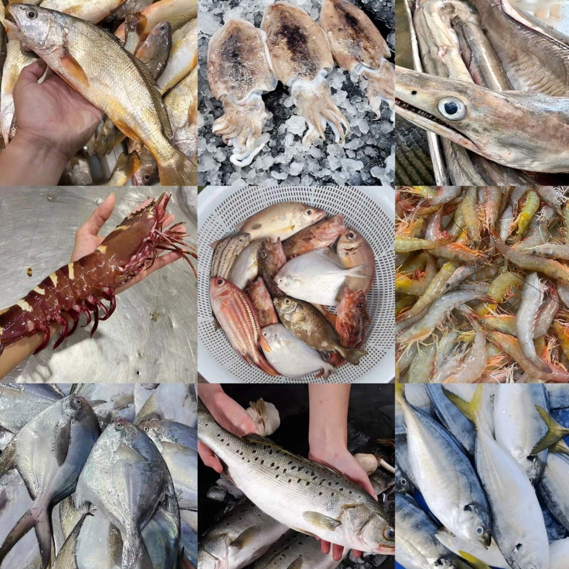 【B海鲜套餐】金线鱼1斤 泥猛鱼1斤 龙利鱼1斤