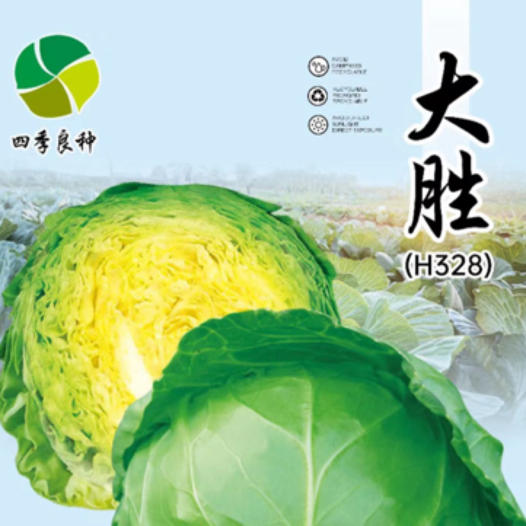 四季良种大胜甘蓝种子
