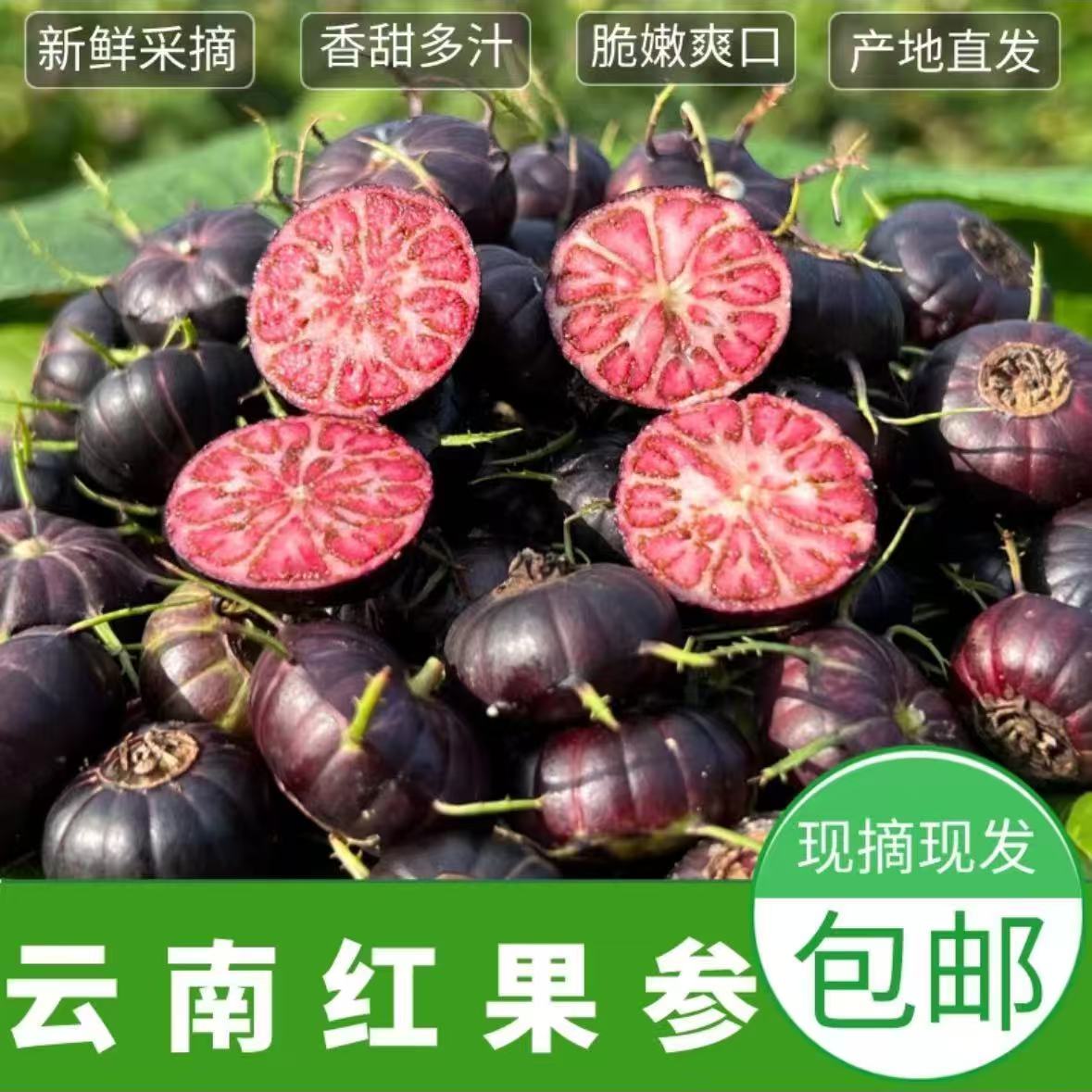 【精选特大果】云南高山稀有红果参蜘蛛果算盘果现摘现发  顺丰速运