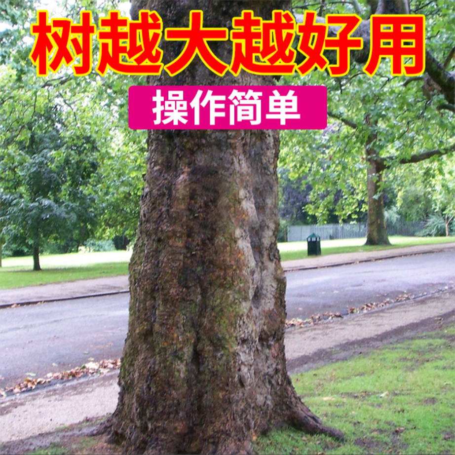 ZHOU操作简单树越大越好用使用方便大树1zhen倒